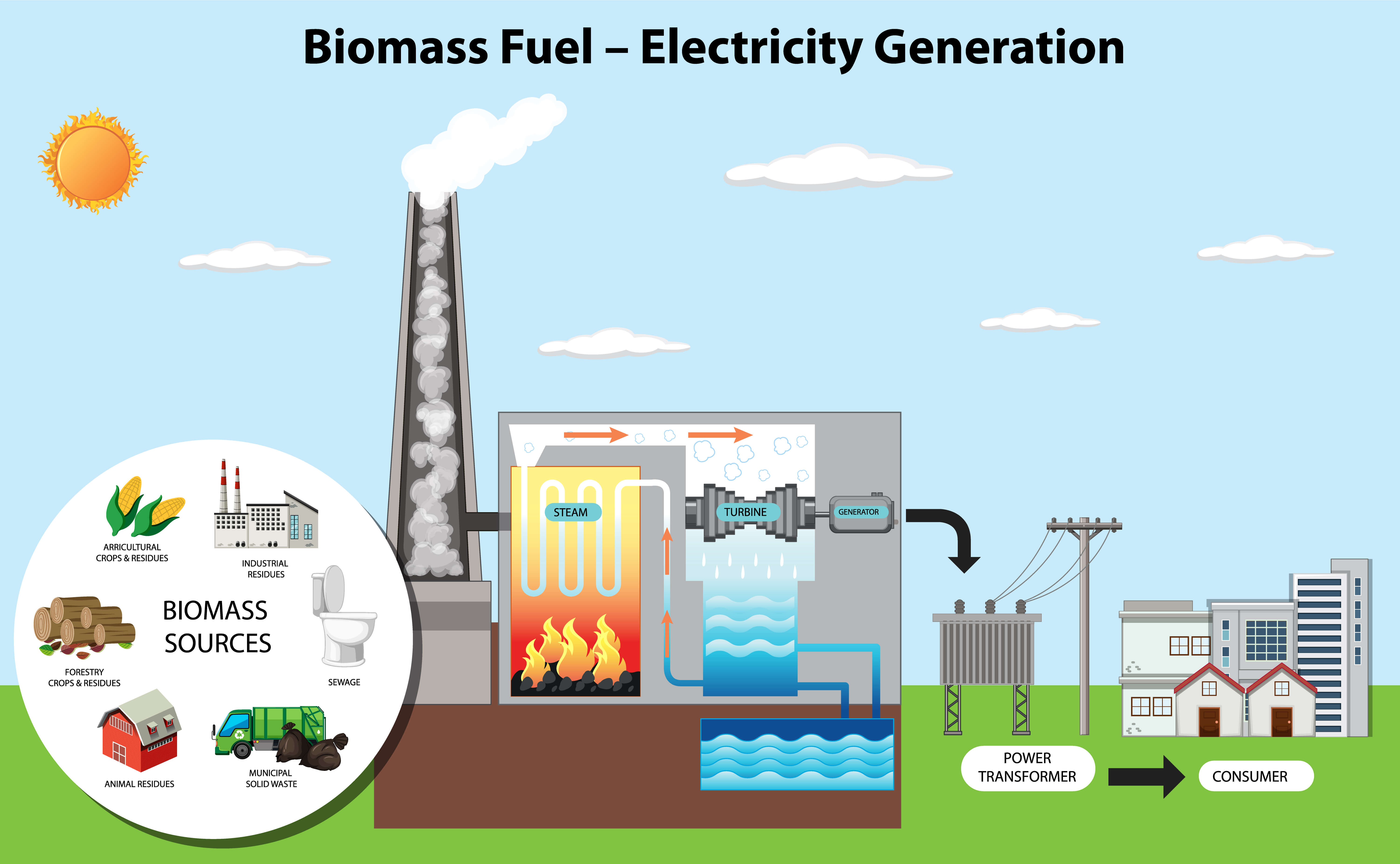 Biomasa 3